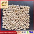 Wholesale Blanched Peanut Kernels New Crop
